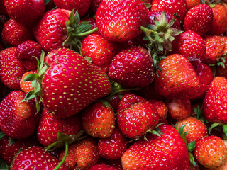 Macro shot of detailed, red, ripe strawberries with green leaves. Fruit and food background