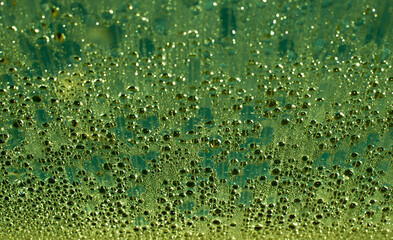 emerald-swamp drops like frog skin drops - bright juicy background