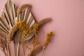 Dried tropical palm tree leaf and dry flower decoration on a pastel pink background