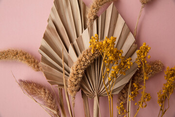 Dried tropical palm tree leaf and dry flower decoration on a pastel pink background