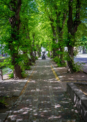 sightseeing tour in Wismar, old toen and harbour