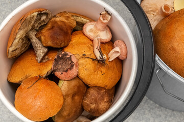 Mushroom picking. Mushroom harvesting. Edible mushrooms in a blue bucket on the kitchen. Food supplies. Flat lay.