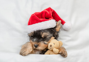 Funny Yorkshire terrier puppy wearing red santa hat sleeps and hugs toy bear under white blanket at...