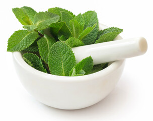 Mint leaves © Swapan