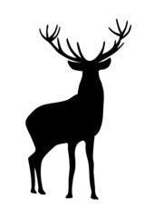reindeer vector image