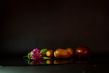autumn still life