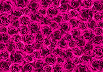 たくさんの薔薇の花、ゴージャスなイメージ