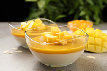 Delicious panna cotta with mango coulis and fresh fruit pieces on grey table