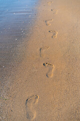 Footprints on the beach.