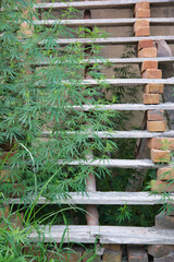 &ldquo;In every change, in every falling leaf there is some pain, some beauty. And that's the way new leaves grow.&rdquo;