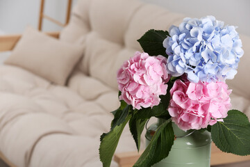 Beautiful hortensia flowers in can indoors. Space for text
