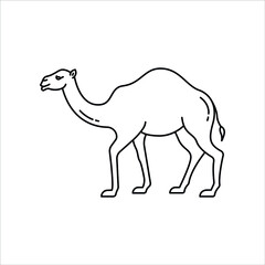 Camel illustration, vector animal line icon