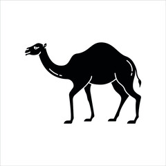 Camel illustration in vector, simple solid icon