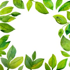 Fototapeta premium Cornice botanica acquerello 