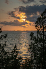 Obraz premium Summerimression at the baltic sea