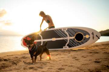 Happy dog with his tongue out and woman with a paddleboard behind him
