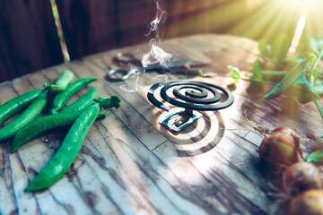 Spiral against insects on a wooden table in the village together with the autumn harvest