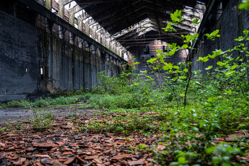 abandoned factory its interior and what remains of it
