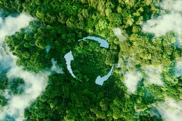 Fotobehang Abstract icon representing the ecological call to recycle and reuse in the form of a pond with a recycling symbol in the middle of a beautiful untouched jungle. 3d rendering. © malp