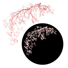 blooming spring sakura tree branches with a pair of birds vector silhouette and outline romantic springtime design