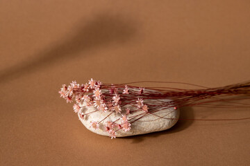Dry pink flower and stone with dark shadow on a light brown background. Trend, minimal concept
