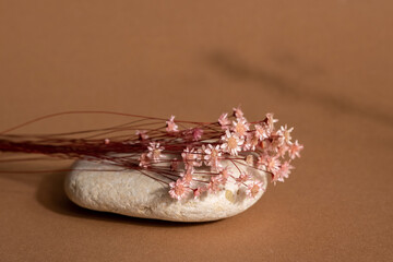 Dry pink flower and stone with dark shadow on a light brown background. Trend, minimal concept - Powered by Adobe