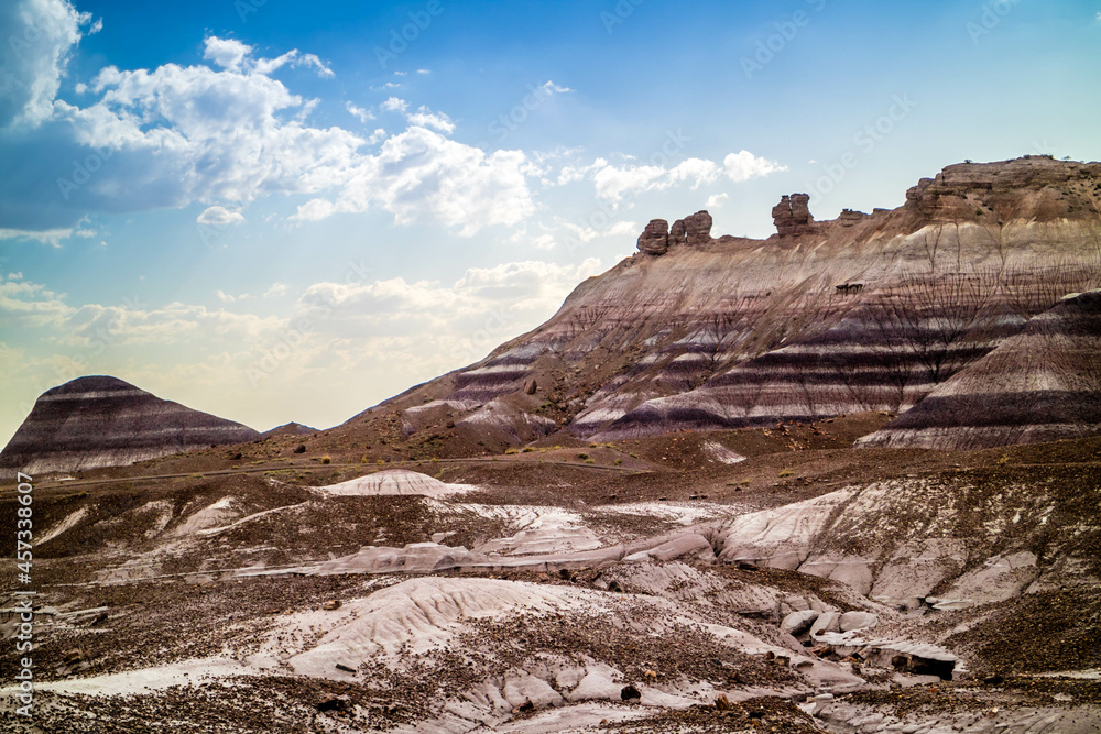 Wall mural The Blue Mesa Trail in Petrified Forest National Park, Arizona