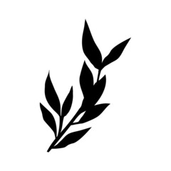 Silhouette branch green tea leaf