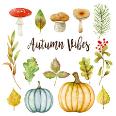 Watercolor illustration set with autumn leaves, mushrooms, pumpkins, berries. Isolated on white background. Hand drawn clipart. Perfect for card, postcard, tags, invitation, printing, wrapping.