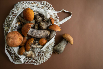 beautiful autumn mushrooms on a brown background
