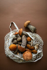 beautiful autumn mushrooms on a brown background