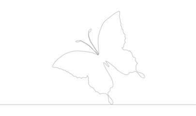 single continuous one line drawing butterfly. Drawing by hand, black lines on a white background