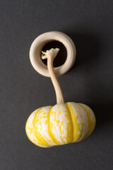 ornamental or decorative mini pumpkin with a pile of wooden rings on dark gray paper background