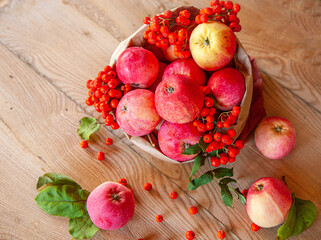 apples and rowan on the table