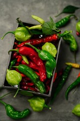 Different types of homegrown chillies or chilli peppers background, selective focus