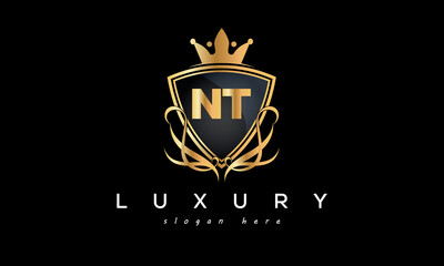 NT creative luxury letter logo