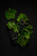 Concept, black grapes with leaves on a black background, vertical, no people, top view,