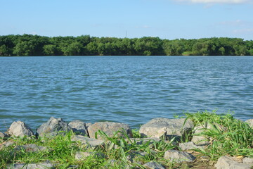 淀川の風景（9月）
