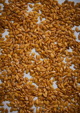 yellow linseed close up macro