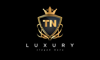 TN creative luxury letter logo