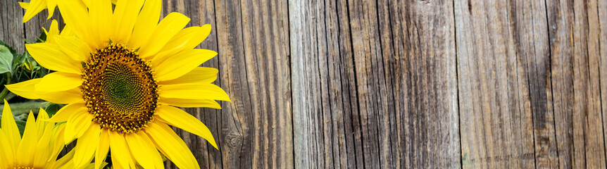Naklejka premium banner of Autumn background with yellow sunflowers on old brown wooden board