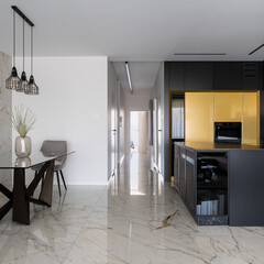 Luxury apartment with long corridor