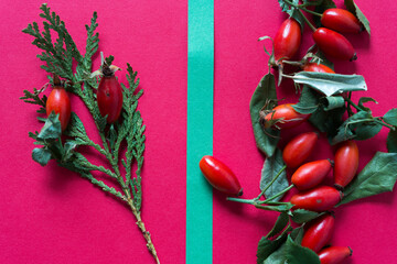 organic objects arranged on a red pink background