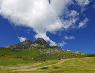 la scenica e vivida  bellezza delle cime dolomitiche in estate