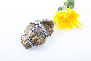 Crabs on a white background