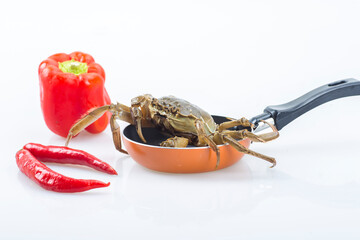 Crabs on a white background