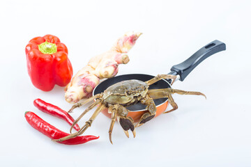 Crabs on a white background