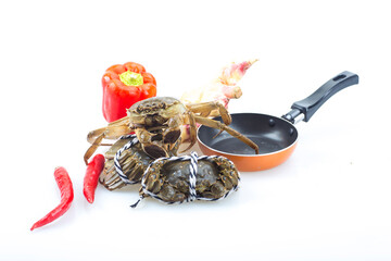 Crabs on a white background