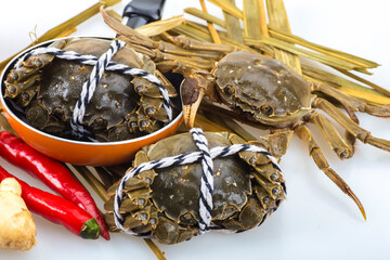 Crabs on a white background