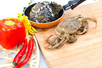 Crabs on a white background